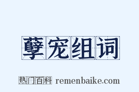 孽宠组词是什么意思的图片